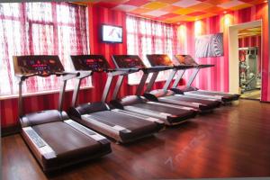 Беговая дорожка Aerofit 9900T