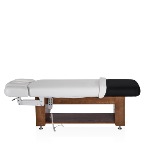 Электрический стационарный массажный стол Mizomed Alexander A-Salon