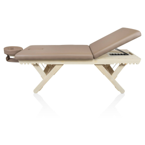 Массажный стол стационарный Mizomed Boast-Tilt SBT1S30