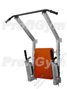 Пресс-турник-брусья настенный складной ProfiGym СВ-0081-G