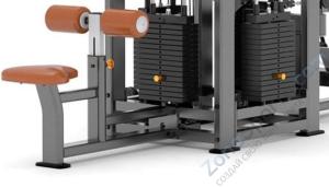 Силовой комплекс 9-сторонний AnyFit PE409-123