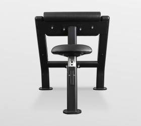 Скамья Скотта Bronze Gym BR-1007