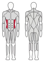 Твистер машина  Fitex FTX-6219